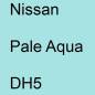 Preview: Nissan, Pale Aqua, DH5.